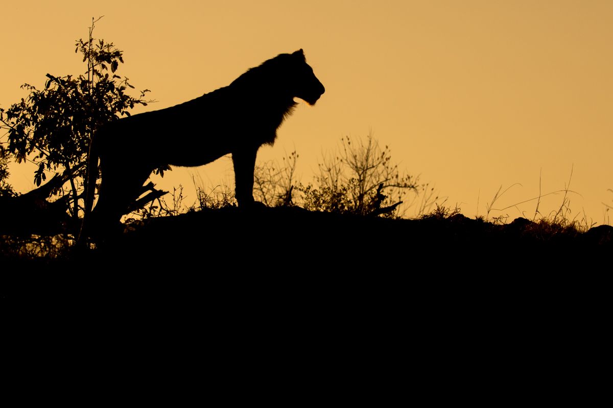 Archer & Gaher Adventures | Safari Holidays | Kenya | Maasai Mara