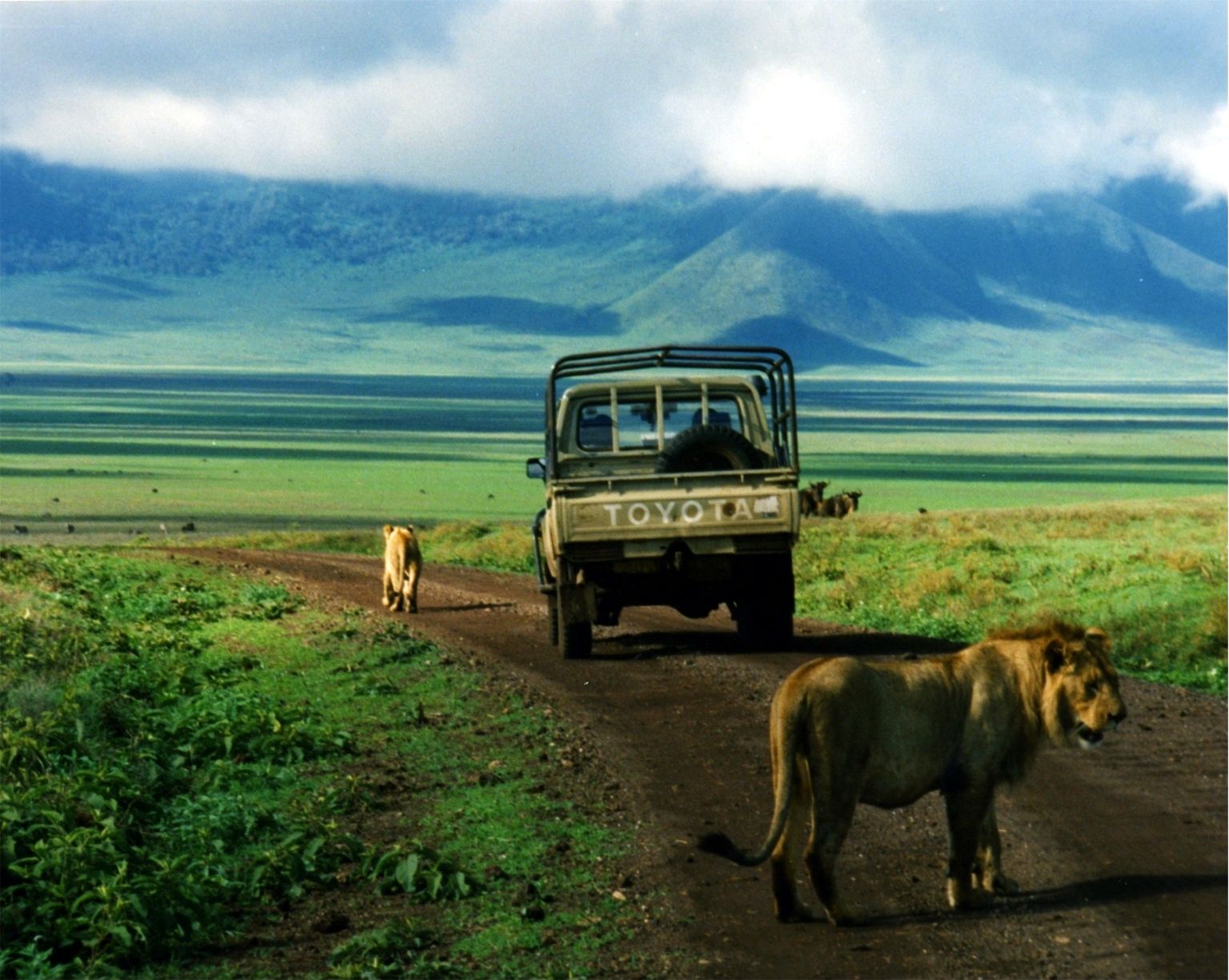Archer & Gaher Adventures | Tanzania | Ngorongoro Crater | Safari Holidays
