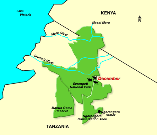 Archer & Gaher Adventures | Tanzania | The Great Wildebeest Migration Map