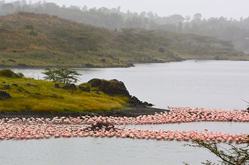 Arusha National Park