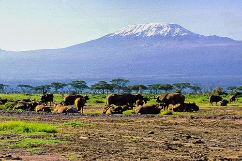 Kilimanjaro National Park