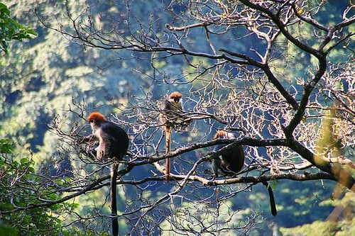 Udzungwa National Park