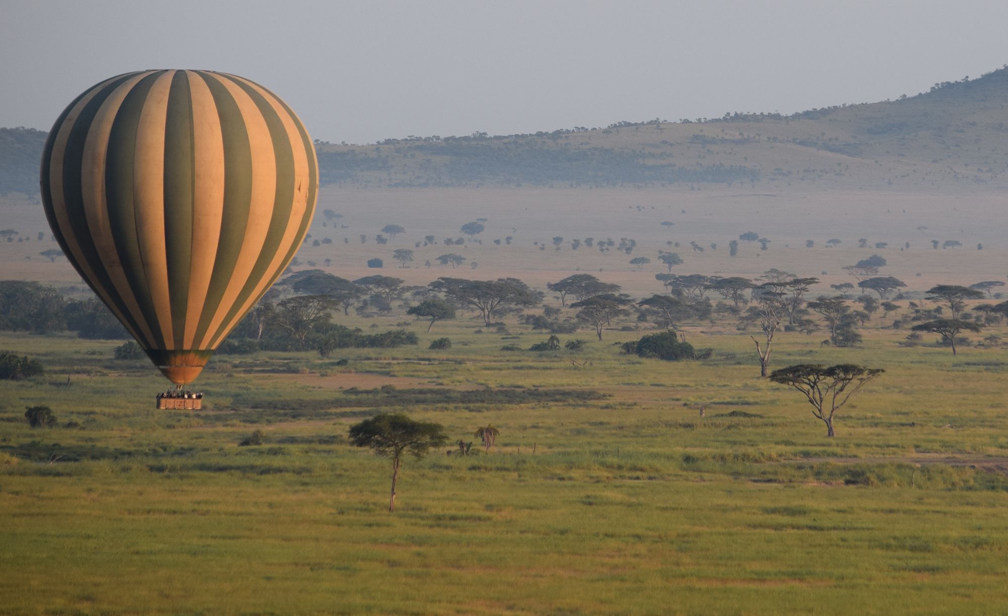 Archer & Gaher Adventures | Tanzania | Serengeti | Safari Holidays