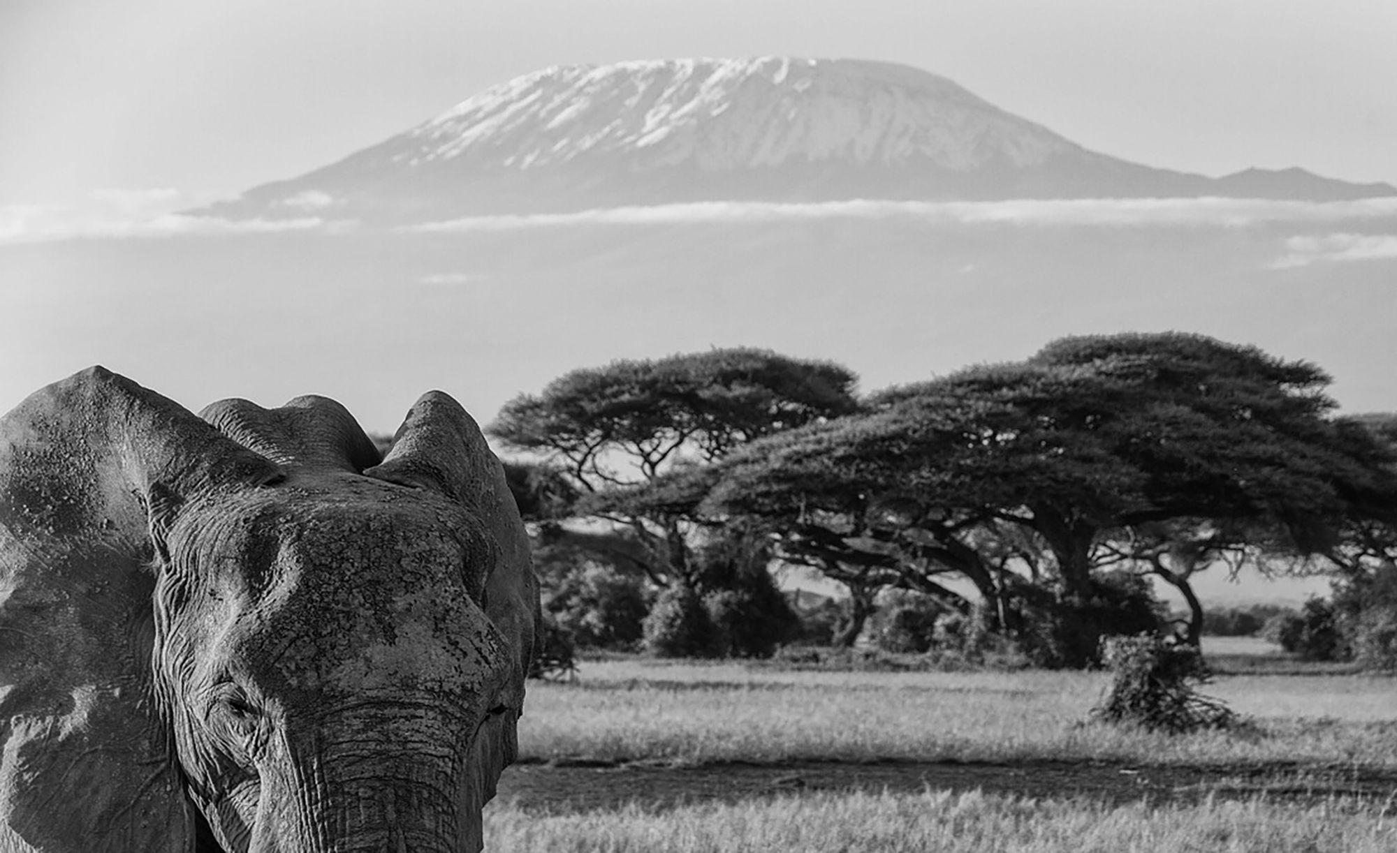 Archer & Gaher Adventures | Tanzania | Kilimanjaro | Trekking Holidays