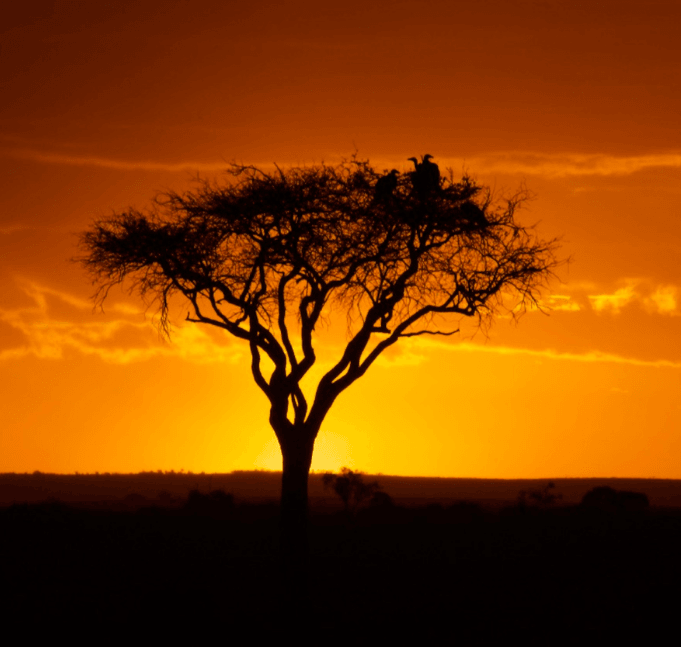 Archer & Gaher Adventures | Offers | Maasai Mara