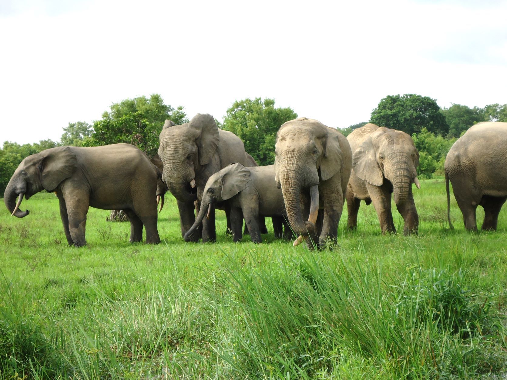 Archer & Gaher Adventures | Ghana | 7 Day Itinerary