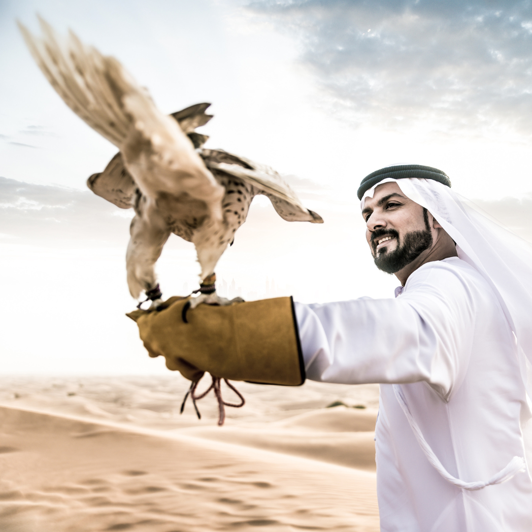 Archer & Gaher Adventures | Qatar | Falconry