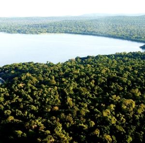 Hidden Holiday Gems: Rubondo Island
